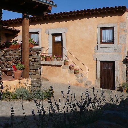 Atenor Casa Da Ti Cura旅馆 外观 照片