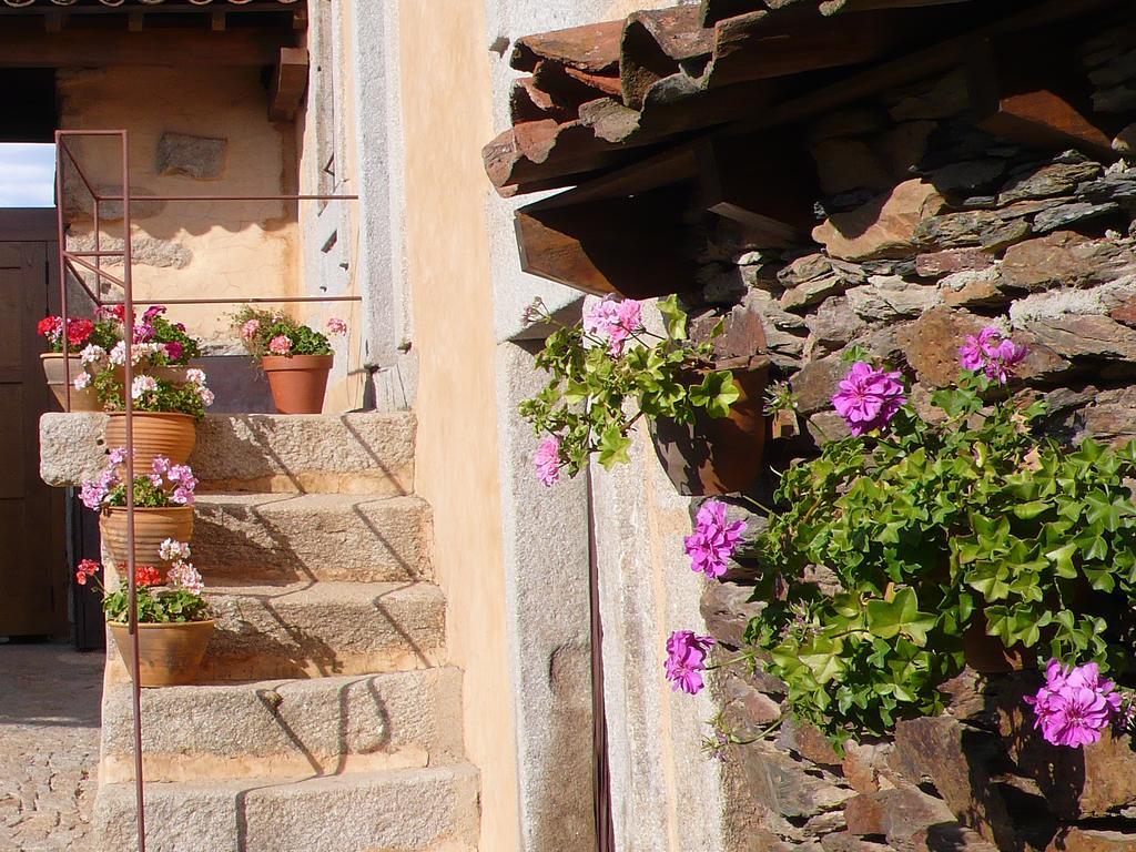 Atenor Casa Da Ti Cura旅馆 外观 照片