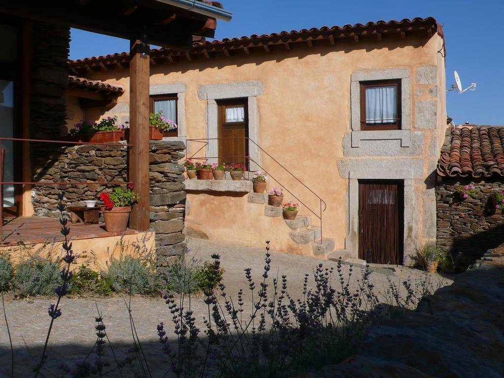 Atenor Casa Da Ti Cura旅馆 外观 照片